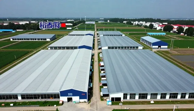 应用开发中常见问题及应对策略解析
